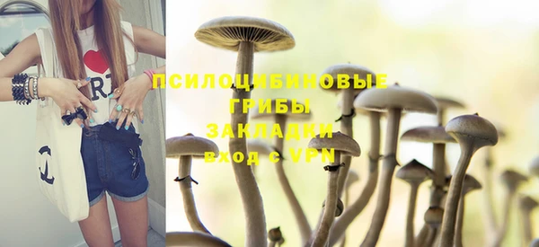 молекула духа Волосово