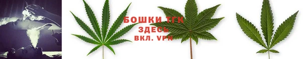 молекула духа Волосово