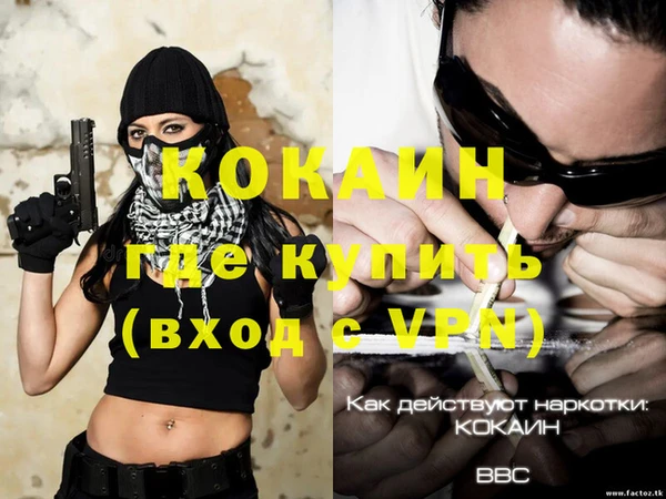 молекула духа Волосово