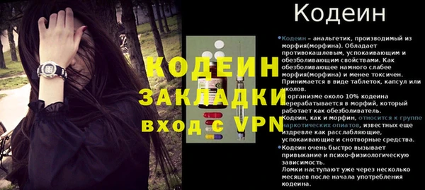 мдпв Волоколамск