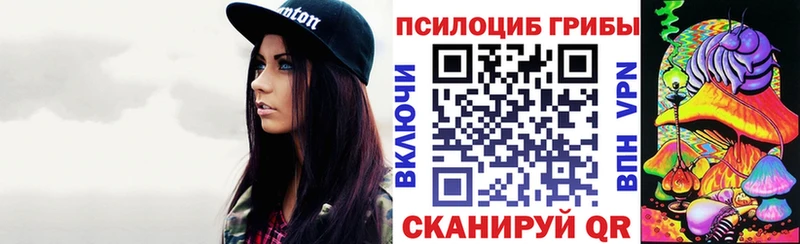 продажа наркотиков  Карачаевск  Галлюциногенные грибы Magic Shrooms 