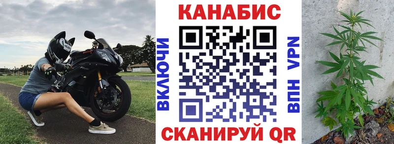 Конопля гибрид  Карачаевск 